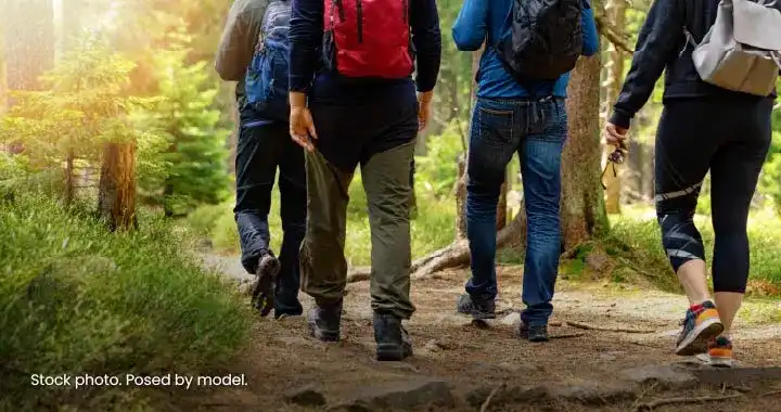 Photograph shows four hikers walking along a sunlit forest trail with backpacks and outdoor clothing. Greenery, trees, dirt path convey an outdoor recreation and nature exploration theme.